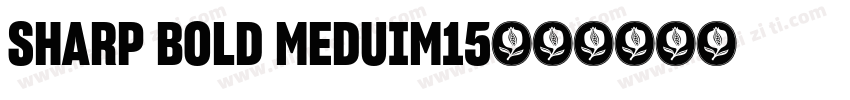 SHARP BOLD MEDUIM15字体转换